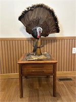 End Table and Turkey mount