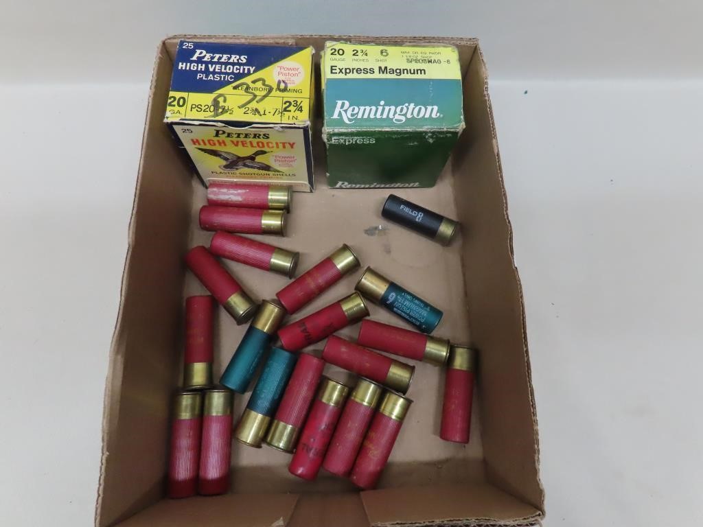 Mixed 20 & 12 ga. Ammo