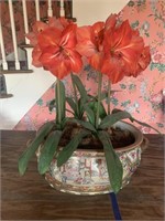 Large decorative pot with 4 artificial amaryllis