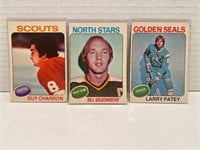 1975/76 3 Card Lot