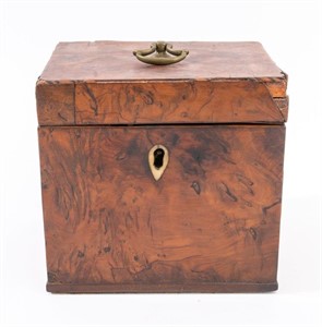 George III Elmwood Tea Caddy, 19th C