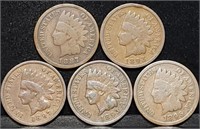 5 Nice Indian Head Pennies