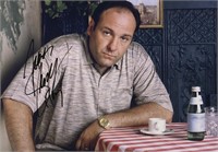 Sopranos Photo James Gandolfini Autograph