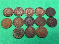(13) Indian Head Pennies