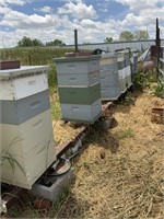 Large Lot of Brood Boxes