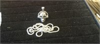 Steel Necklace w/ Large Skull Pendant
