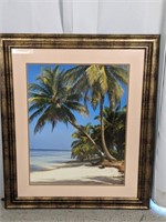 Tropical Palm Tree Framed Print