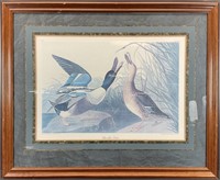 J.J. Audubon Duck Art Print