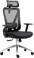 USED-Ergonomic Mesh Office Chair