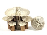 Mushroom Coral & Wood Sculpture