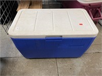 Coleman Cooler