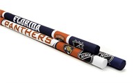 NHL Florida Panthers Pool Noodles (Pack of 3)