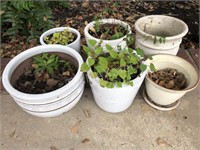 6- Ceramic Planters