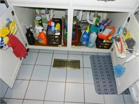Contents Under Kitchen Sink