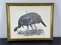 Vintage Framed Print - Wild Turkey Jake