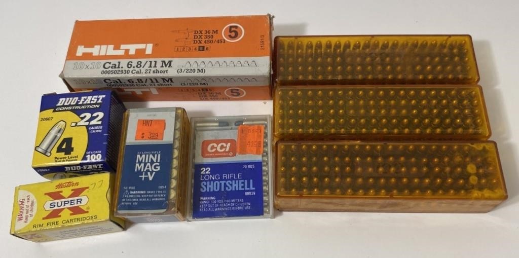 Assorted .22 Long Rifle Ammunition Inc.CCI Mini