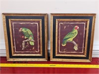 11" x 13" Pair framed Bird Art