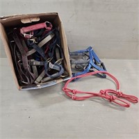 Large Assortment of Halters