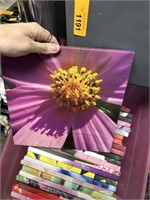 BOX OF FLORAL CANVAS ART