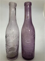 Pair 13oz Amethyst Sauce Bottles - Hoadley’s