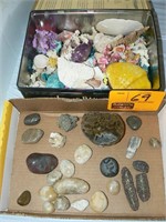 TIN FULL OF SEASHELLS, BOX WITH STONES AND