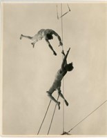 8x10 Trapeze stunt photo