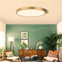 9 Inch Gold LED Flush Mount Ceiling Light Fixture