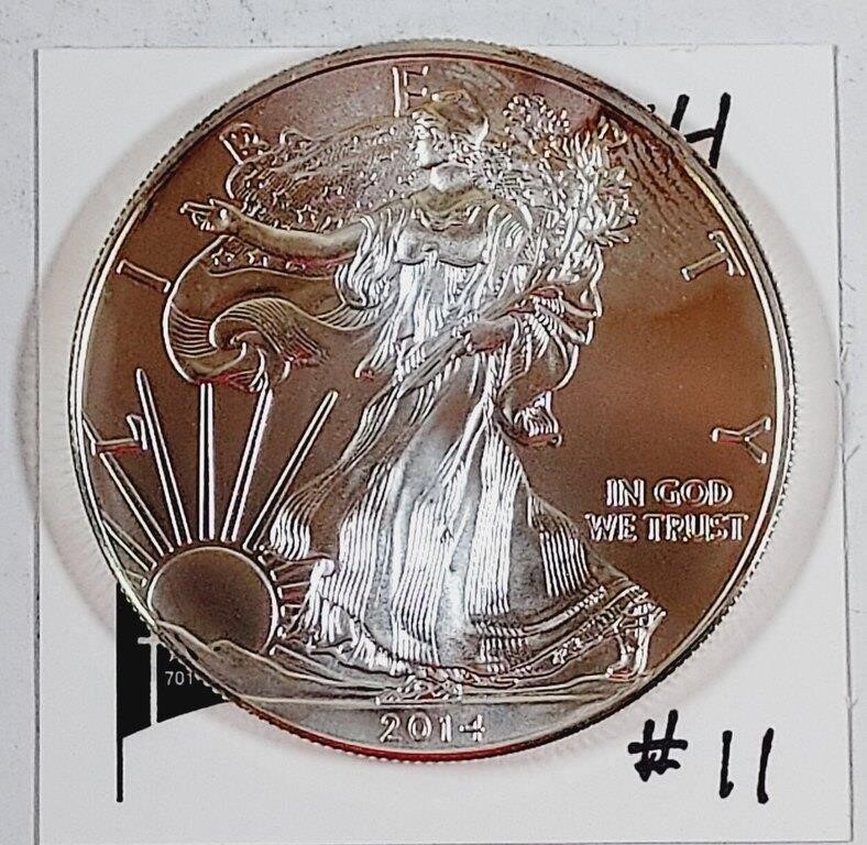 2014  $1 Silver Eagle   impaired