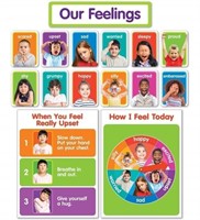 Our Feelings Bulletin Board