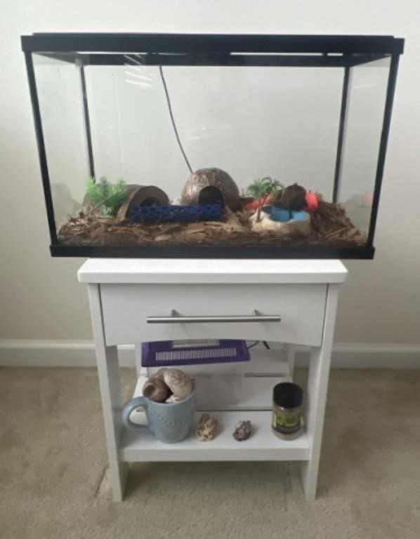 Hermit Crab Tank and Accessories