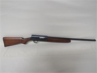Remington/Savage Shotgun