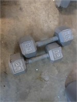 20 lb Hand Weights