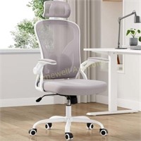 Farini Ergonomic Office Chair  Grey