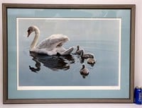 Mute Swans Art - Following Mama - Framed Signed