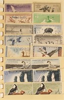 Stockbook Duck Stamps, many backs stuck to booklet