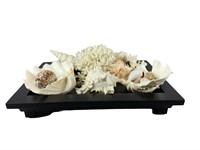 A Decorative Tray with Sea Shells