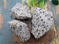 DALMATION JASPER ROCK STONE LAPIDARY SPECIMEN