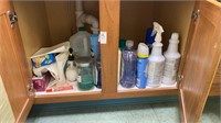 Contents under sink, cleaning products, garbage