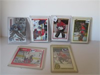 COLLECTION OF PATRICK ROY HOCKEY CARDS