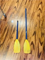 Kayak Paddle