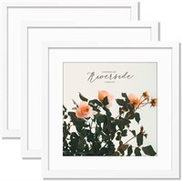 24x24 Frame White  Display 20x20 Picture with Mat