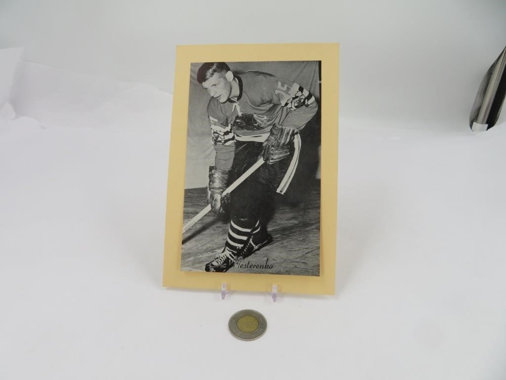 Eric Nesterenko , 1944/64 BEEHIVE Photo Hockey