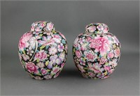 Pair Chinese Famille Rose Porcelain Jar Qianlong