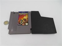 Castlequest , jeu de Nintendo NES