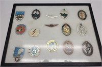 Austria Military Badge/Pin
