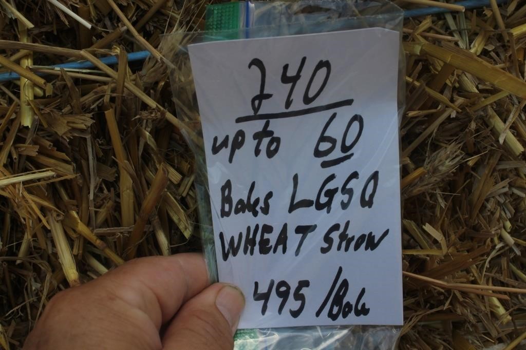 Hay, Bedding & Firewood Auction#26 (6/26/2024)