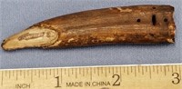 St. Lawrence Island ivory artifact, baby walrus tu