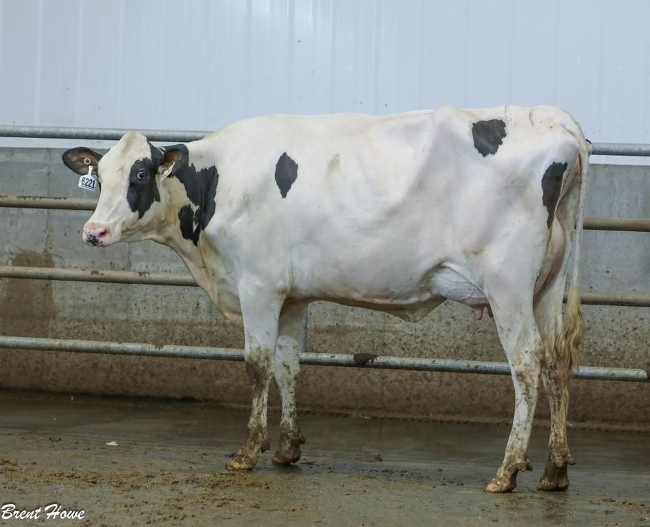 Walker Dairy Inc. - Monthly Auction - June 28, 2024