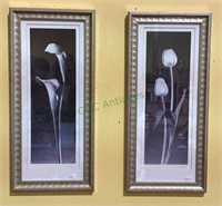 Complementary framed black and white photographs