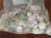 BAG OF ASSORTED SEA SHELLS